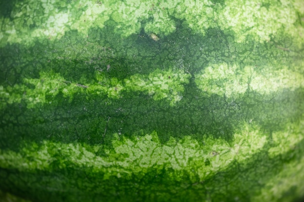 Watermelon as background or texture