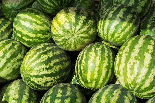 Watermelon background