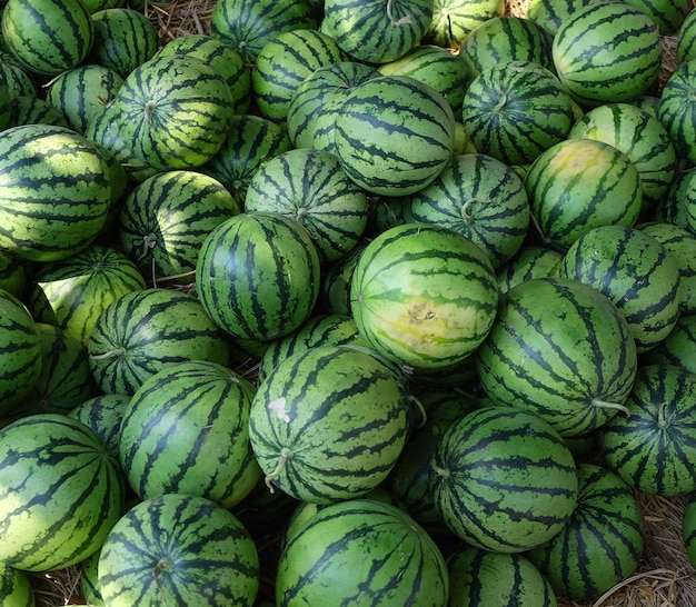 Photo watermelon background