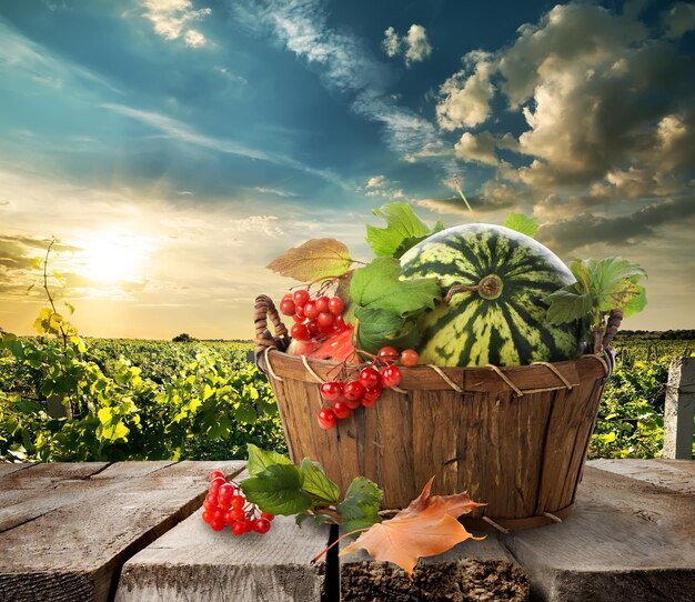 Watermelon in a basket on a wooden table