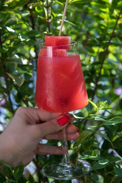 Watermelon juice and natural background Glassware of fresh watermelon cocktail Watermelon fruit