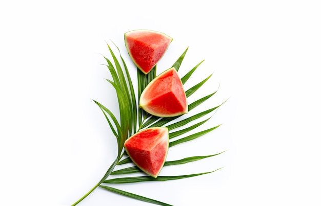 Watermelon slices on tropical palme leaves on white surface. Top view