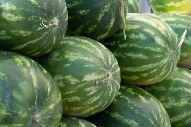 Watermelon stacked in a row