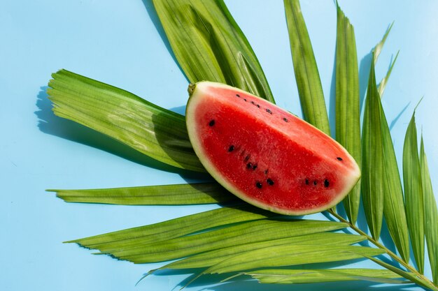 Watermelon on tropical palm leaves on blue surface
