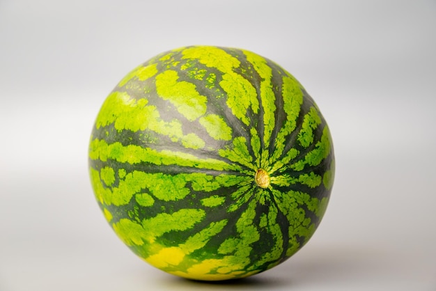 Watermelon whole on grey background