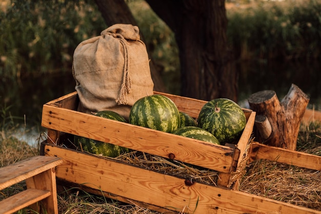 Watermelons and a bag lie in a wooden cart