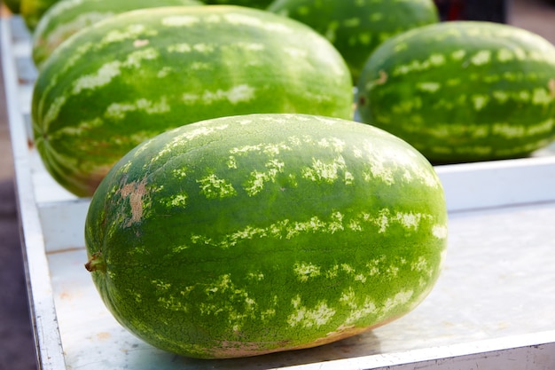 Watermelons in a marketplace in a row