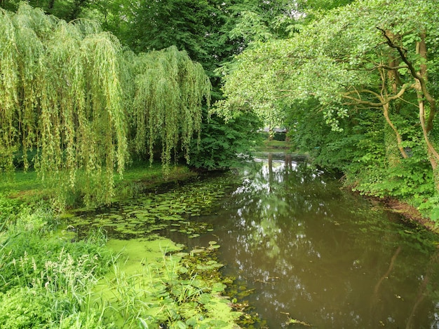 watermill and a river