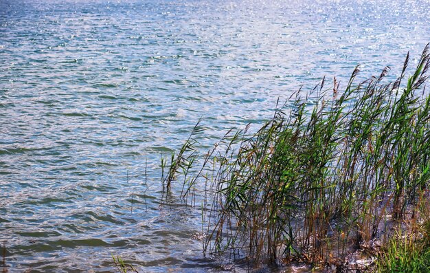 Wateroppervlak. De textuur van het water. Golven op het meer bij winderig weer.