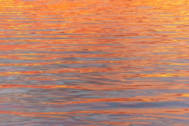 Wateroppervlak van de Rijn tussen Duitsland en Frankrijk bij zonsondergang