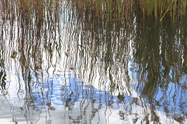 Wateroppervlaktetextuur met rimpelingen en reflectie van het luchtriet