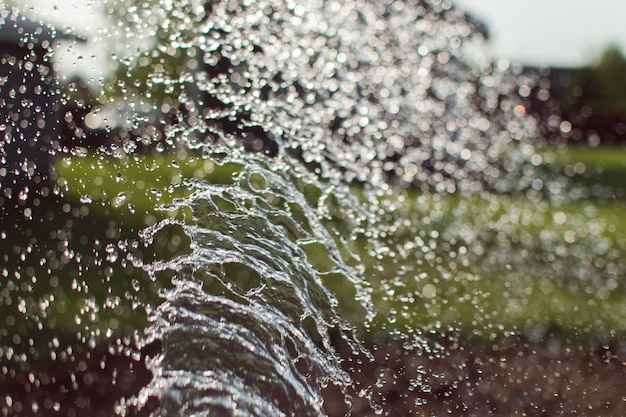 waterplons in de achtertuin die de tuin besproeit