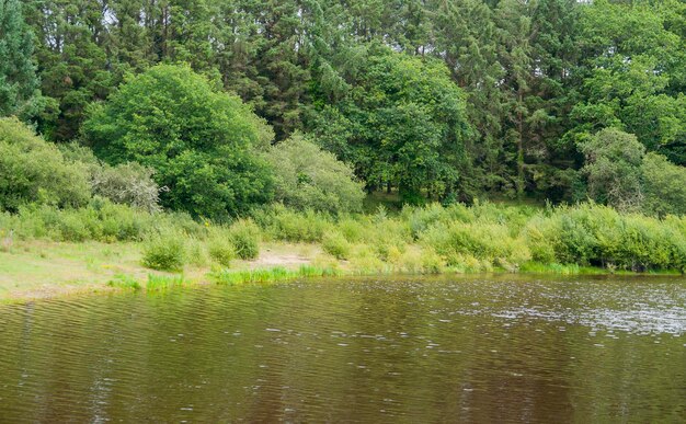 Photo waterside scenery around carnac brittany