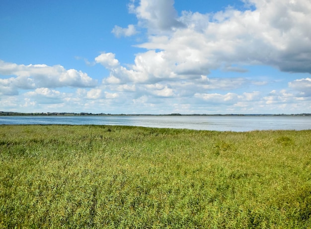 Photo waterside scenery in masuria