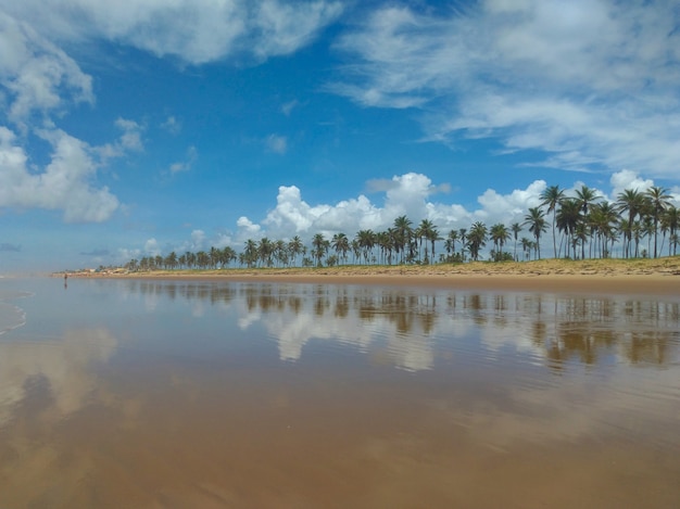 Waterspiegel op het strand van Barra do Coqueiros in Aracaju Sergipe