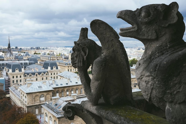 Waterspuwer of hersenschim van Notre Dame de Paris