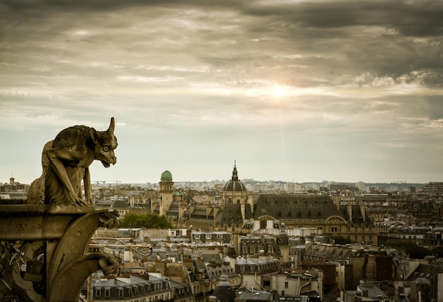 Waterspuwer op de kathedraal van Notre Dame de Paris