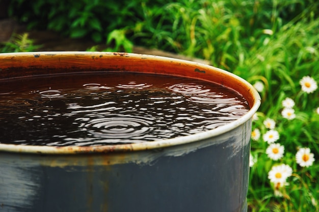 Waterton voor de tuin, regenwater opvangen