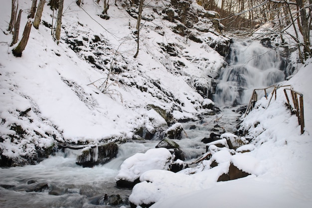 Waterval berg rivier in een bos in de winter