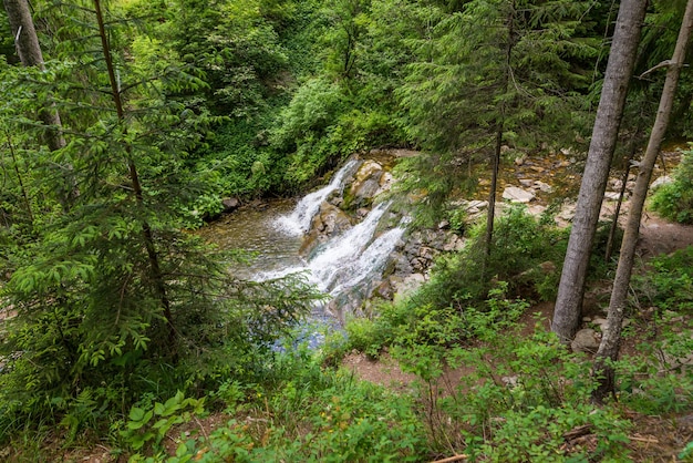 Waterval Bogdan in de Oekraïense Karpaten Uitzicht van bovenaf