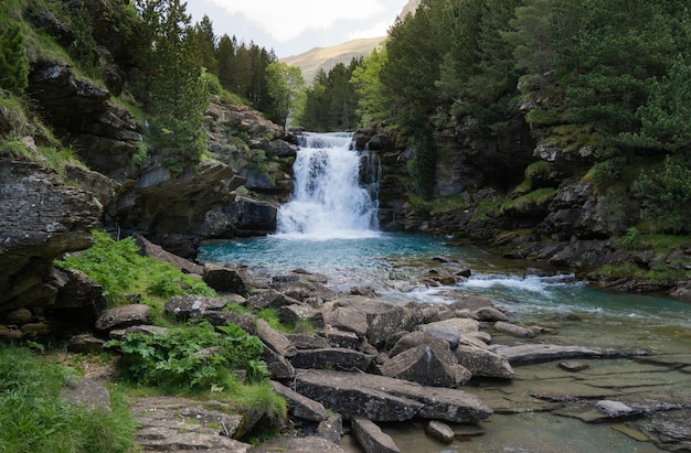 Waterval bos stenen