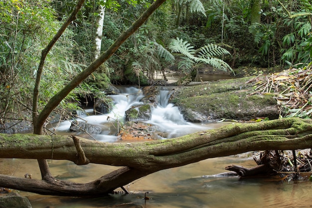 Waterval en rivier die door een regenwoud in Brazilië stromen.