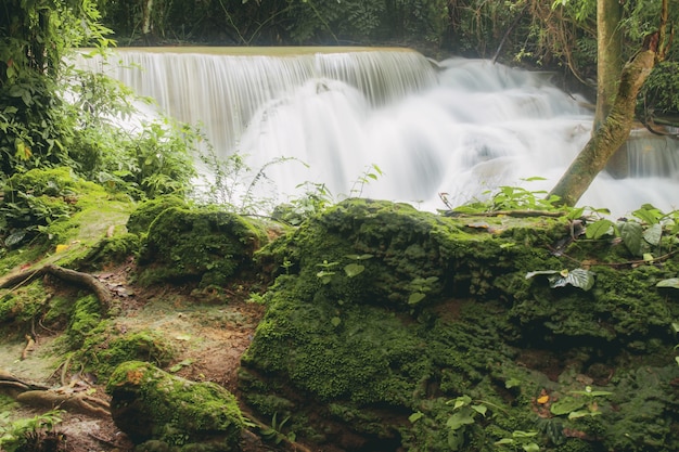 Waterval en steen met zonlicht.