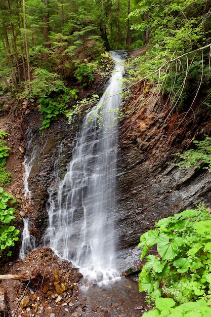 Waterval in bergbos