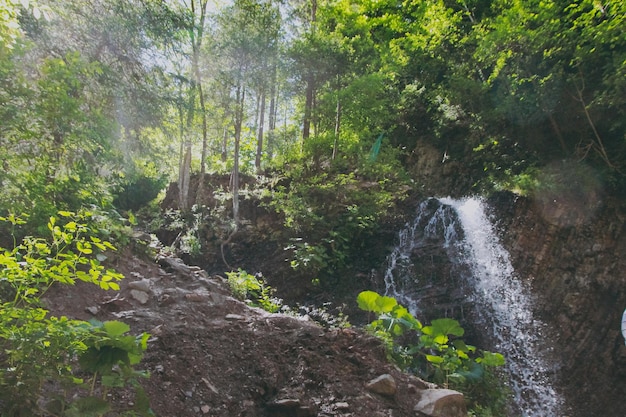 Waterval in de bergen vanaf een rotsachtige klif