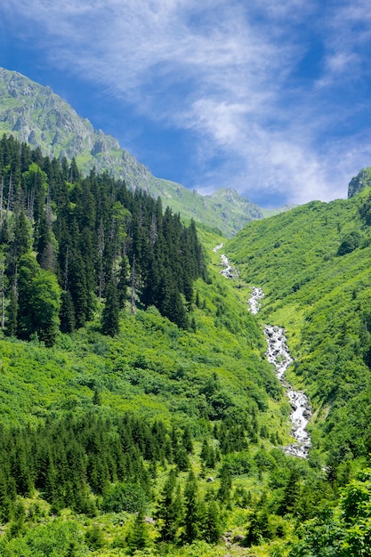 Waterval in de groene vallei tussen de bergen in de zomer, Gorgit Highland.