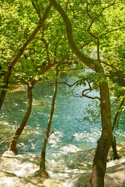 Waterval in de natuur