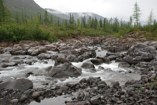 Waterval in de rotsen