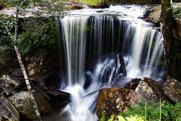 waterval in diep bos in Thailand