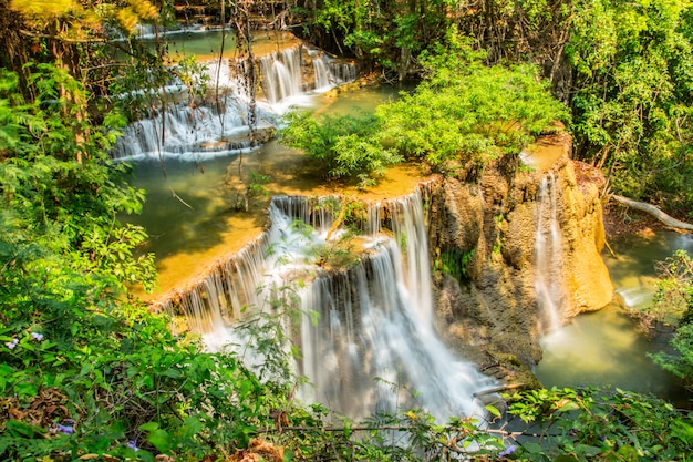 Waterval in diep bos