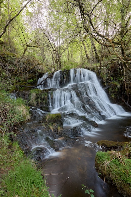 Waterval in een prachtig bos op het gebied van galicië, spanje.