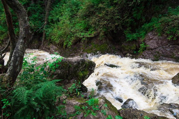 Waterval in groen bos lange blootstelling