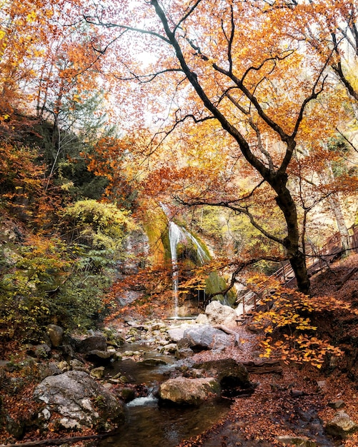 Foto waterval in herfstbos