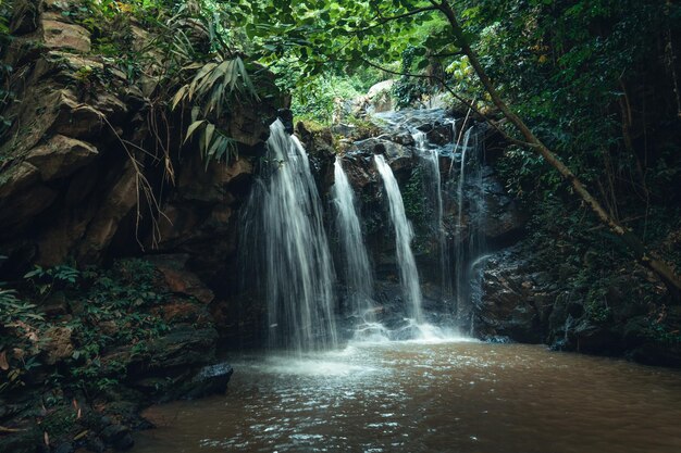 Foto waterval in het bos