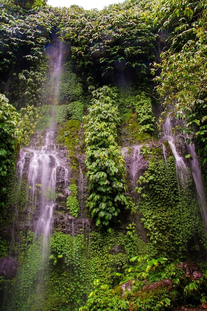 Foto waterval in het bos