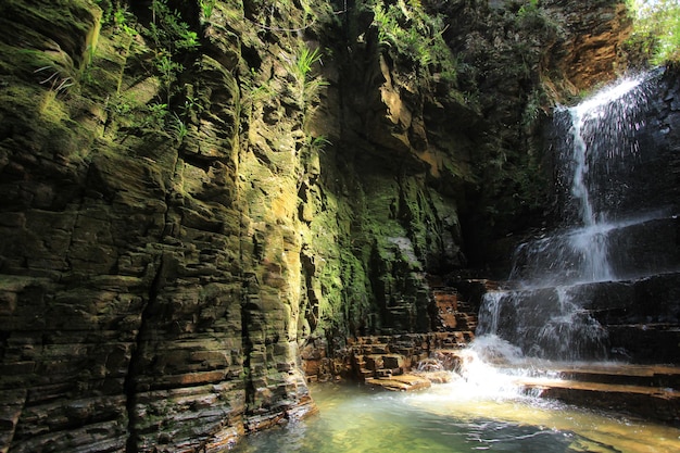 Waterval in het bos