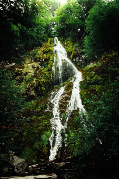 Foto waterval in het bos