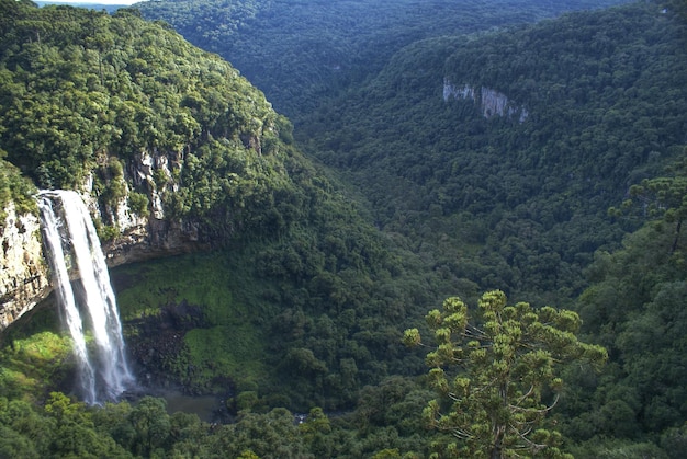 Waterval in het bos