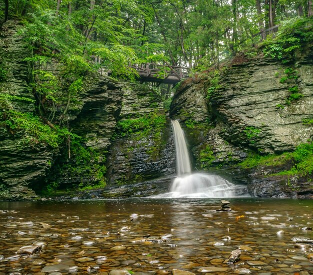 Foto waterval in het bos