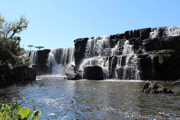 Waterval in het bos