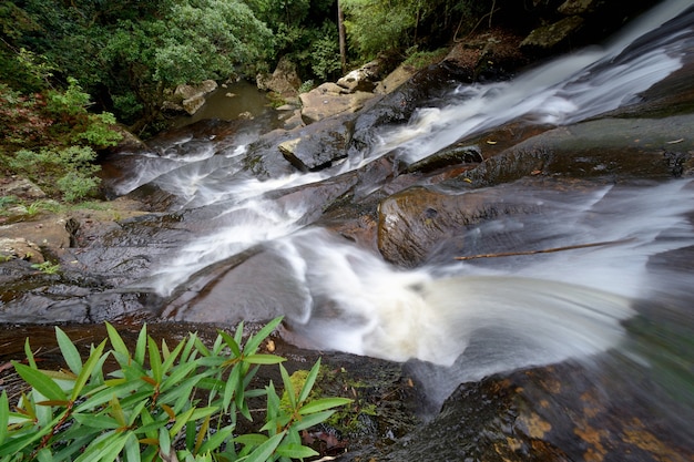 Waterval in het bos