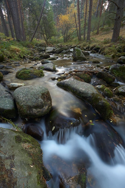 Foto waterval in het guadarrama national park