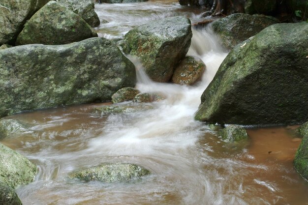 waterval in het natuurlijke bos