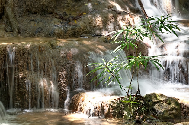 Waterval in het regenwoud