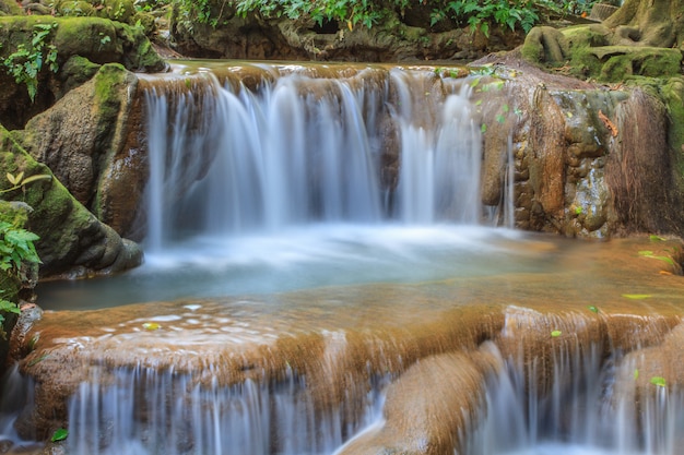 Waterval in het tropische bos