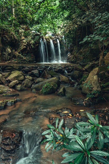 Waterval in het tropische woud in het regenseizoen